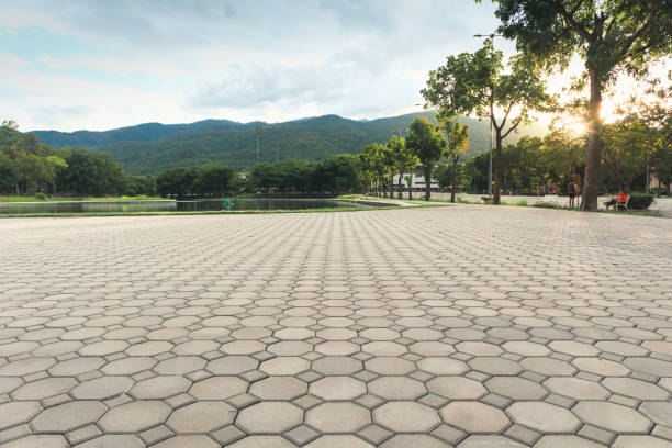 Best Residential Driveway Paver Services  in Valley City, ND